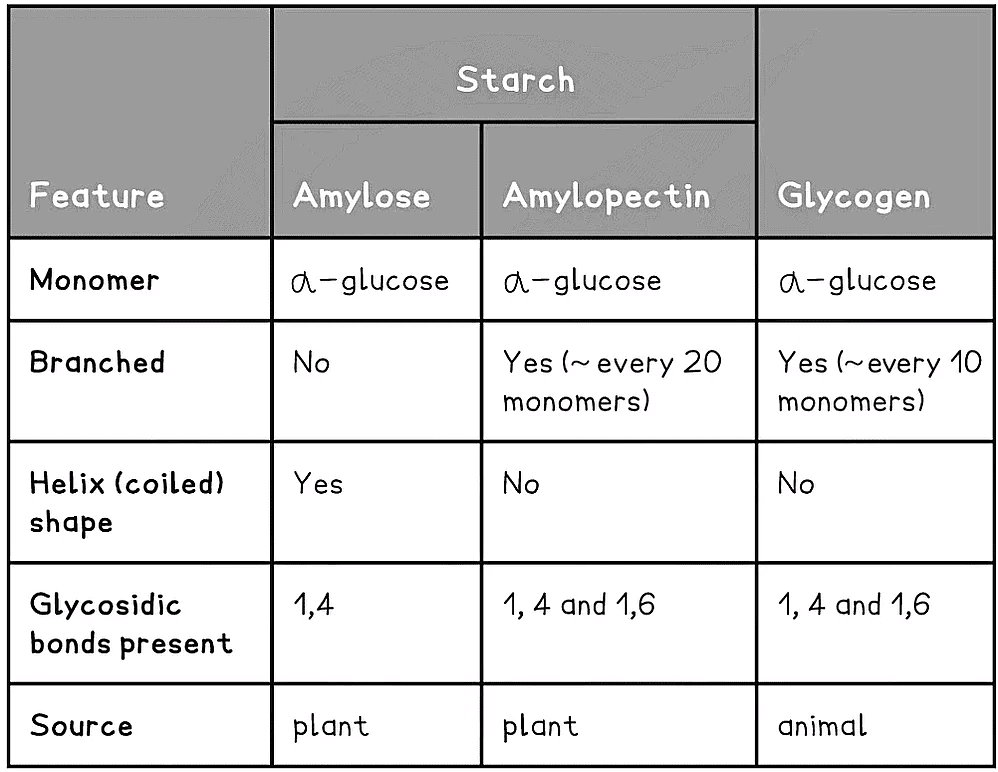 Biological Molecules: Carbohydrates | Biology for Grade 12