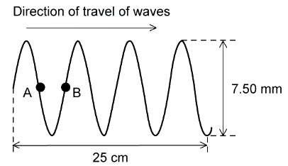 Longitudinal & Transverse Waves | Physics for Grade 12