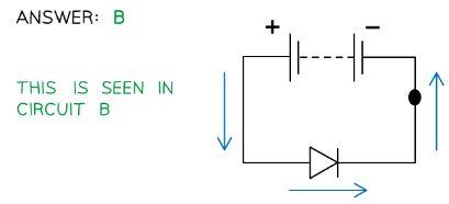 Electric Current and Charge | Physics for Grade 12