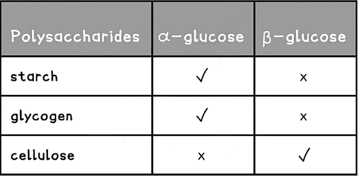 Biological Molecules: Carbohydrates | Biology for Grade 12