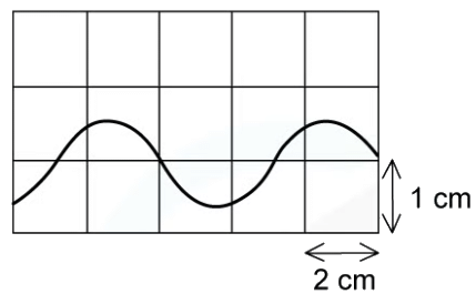 Longitudinal & Transverse Waves | Physics for Grade 12