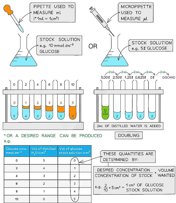 Biological Molecules: Carbohydrates | Biology for Grade 12