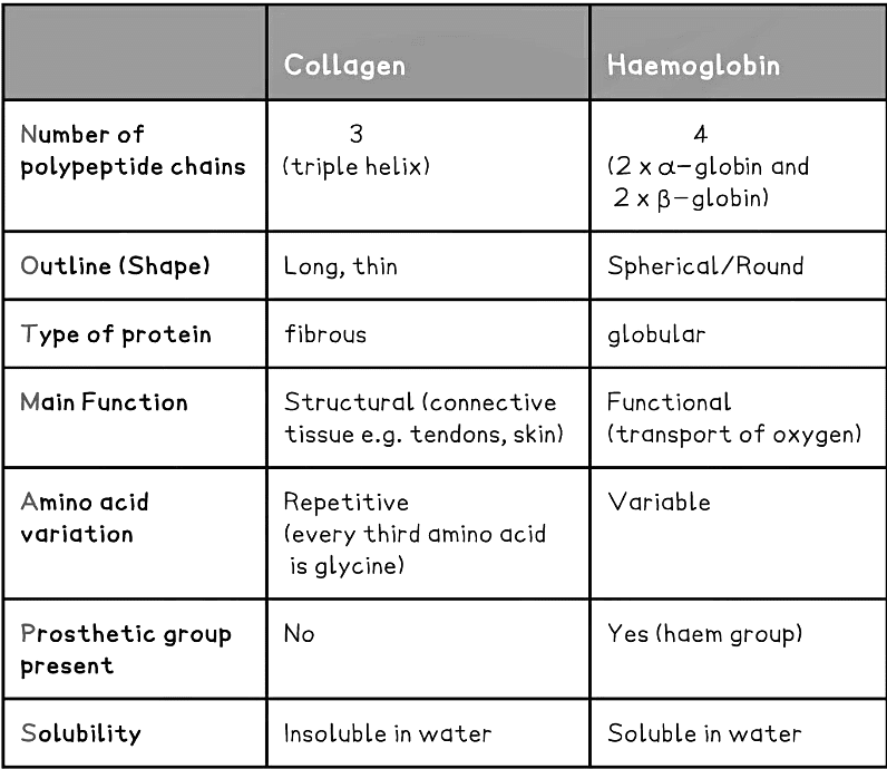 Proteins | Biology for Grade 12