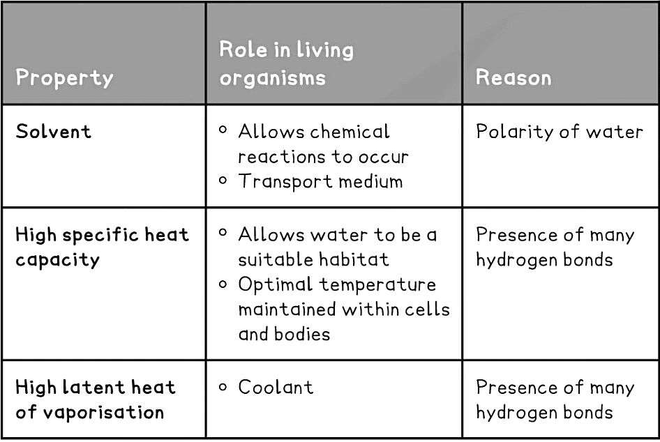 The Structure of ATP | Biology for Grade 12