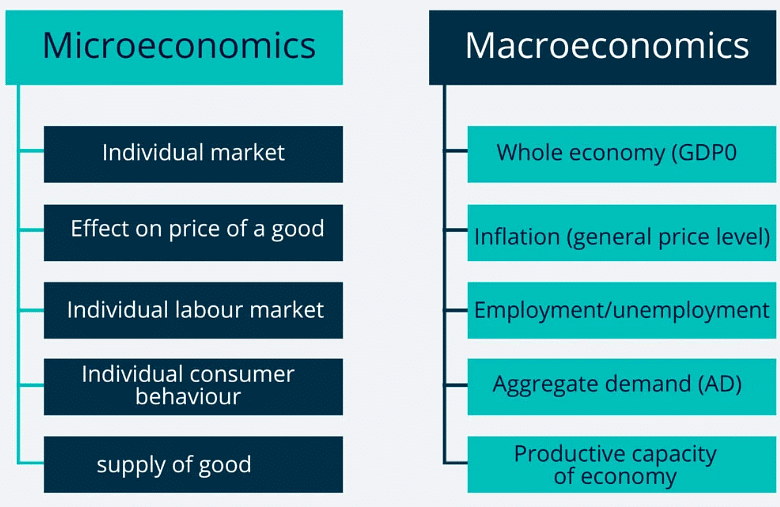 Microeconomics and Macroeconomics | Economics for Grade 12