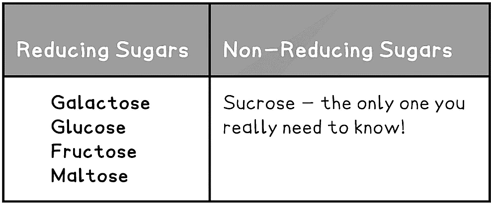 Biological Molecules: Carbohydrates | Biology for Grade 12