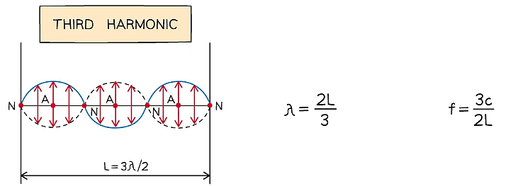 Superposition & Stationary Waves | Physics for Grade 12