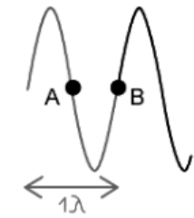Longitudinal & Transverse Waves | Physics for Grade 12
