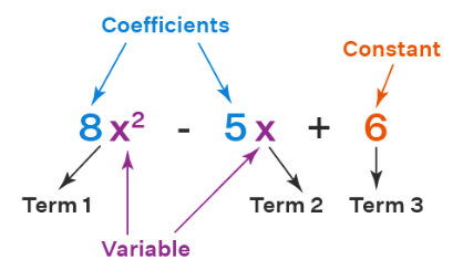 Polynomials in One Variable | Preparation for EmSAT Grade 10
