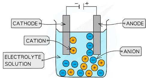 Anions are attracted to the anode and cations to the cathode