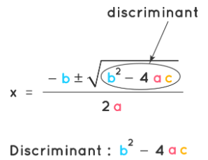 What are Quadratic Polynomials? | The Complete SAT Course - Class 10