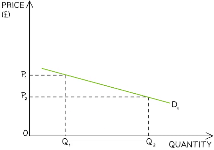 Price elasticity of demand | Economics for Grade 12