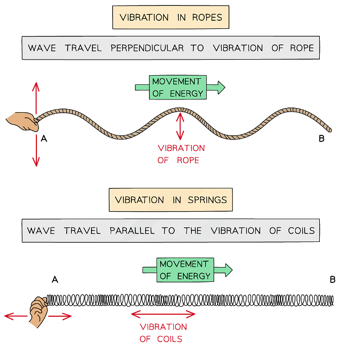 Waves can be shown through vibrations in ropes or springs