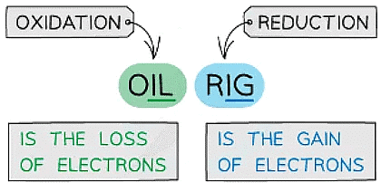 Biological Molecules: Carbohydrates | Biology for Grade 12