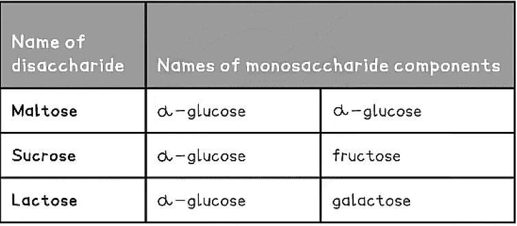 Biological Molecules: Carbohydrates | Biology for Grade 12