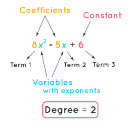 Polynomial Expressions | Preparation for EmSAT Grade 10