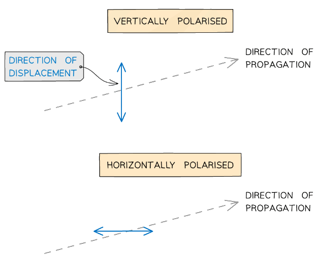 Diagram showing the displacement of unpolarised and polarised transverse waves