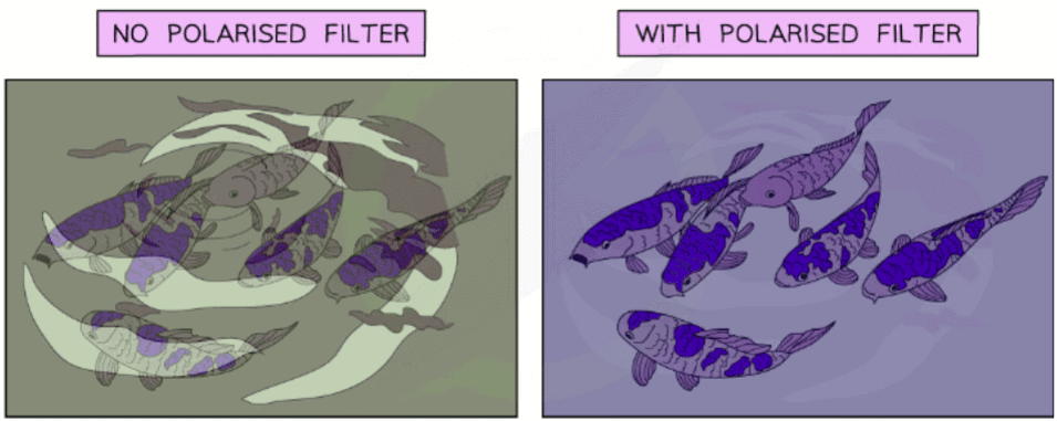As well as giving a cool look to photographs, polaroid filters are extremely useful for reducing glare in photos and snapping pictures of objects underwater