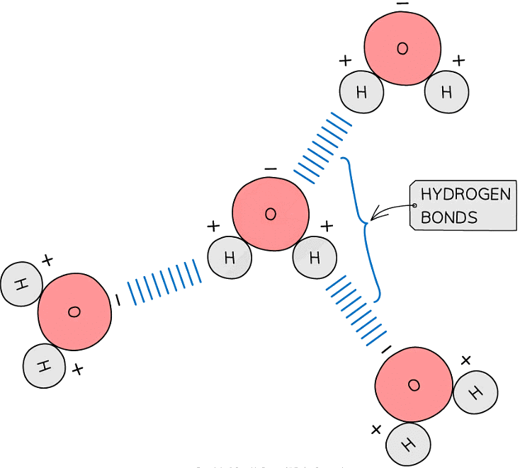 The Structure of ATP | Biology for Grade 12