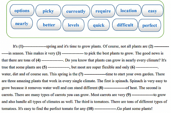 What is Paragraph Builder? | English for EmSAT Achieve