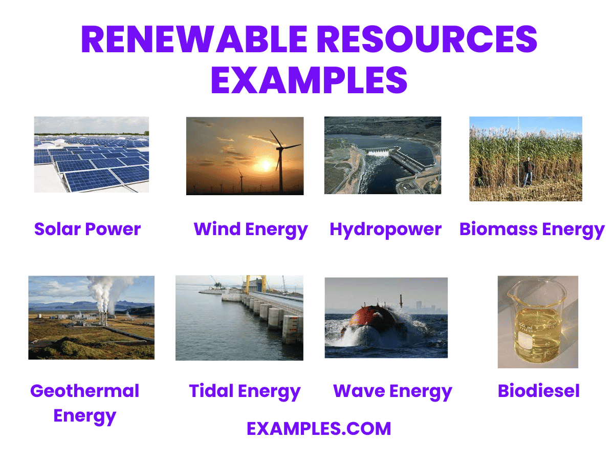 Short Answer Questions: Natural Resources and Their Use | Social Science  Class 8 - New NCERT