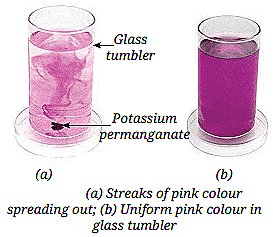Important Diagrams: Particulate Nature of Matter