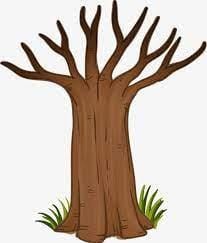 Q1: Multiple Choice Questions (MCQs).