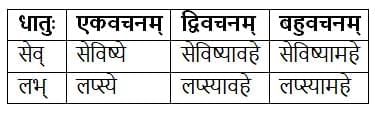 धातुरूपाणि Chapter Notes | Chapter Notes For Class 8