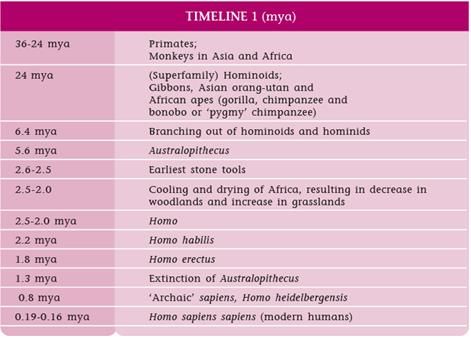 NCERT Summary: The Early Societies (Theme 1: From The Beginning Of Time) | NCERT Video Summary: Class 6 to Class 12 (English) - UPSC