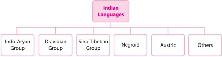 Nitin Singhania Summary: Languages in India | History for UPSC CSE
