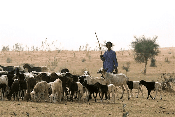 NCERT Summary: From Hunting-Gathering to Growing Food (Class 6) | History for UPSC CSE