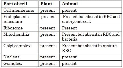 NCERT Summary: Summary of Biology - 1 | Science & Technology for UPSC CSE