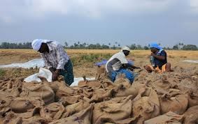 Cheat Sheet: Agriculture & Food Management | Indian Economy for UPSC CSE