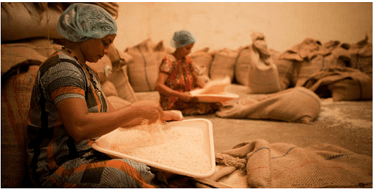 National Policy for Women | Indian Society for UPSC CSE