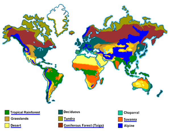 Grasslands of the World | Geography for UPSC CSE