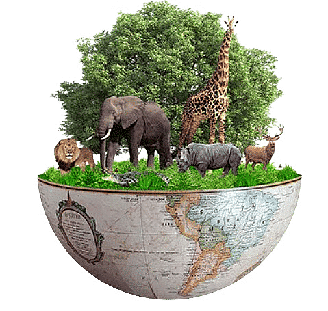 Shankar IAS Summary: Indian Forest | Famous Books for UPSC Exam (Summary & Tests)