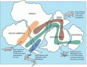 Continental Drift Theory | Geography for UPSC CSE