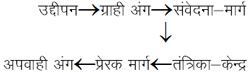 प्राणि विज्ञान (भाग - 3) - जीव विज्ञान, सामान्य विज्ञान, UPSC | सामान्य विज्ञानं (General Science) for UPSC CSE in Hindi