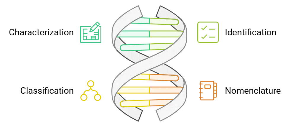 NCERT Summary: Taxonomy: Identification, Nomenclature & Classification | Science & Technology for UPSC CSE