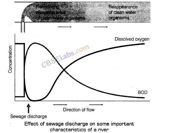 NCERT Summary: Environmental Issues | Geography for UPSC CSE