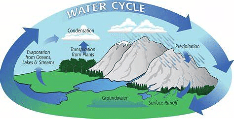 NCERT Summary: Water(Oceans) | Geography for UPSC CSE