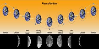 Phases of The Moon
