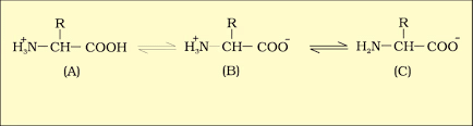NCERT Summary: Biomolecules | Science & Technology for UPSC CSE