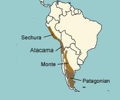 Geography of South America- 2 | Famous Books for UPSC Exam (Summary & Tests)