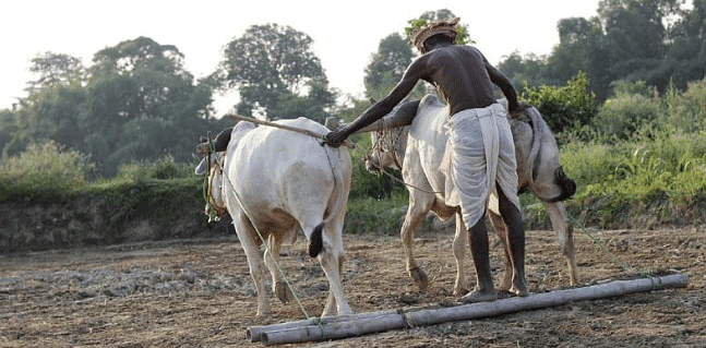 Farmers’ Suicides in India- Reasons and Responses | Indian Society for UPSC CSE