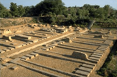 The Great Granary 