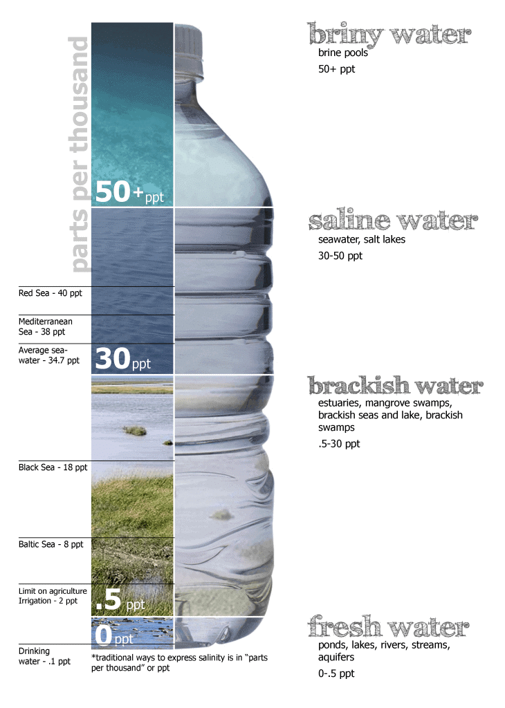 Ocean Salinity | Geography for UPSC CSE