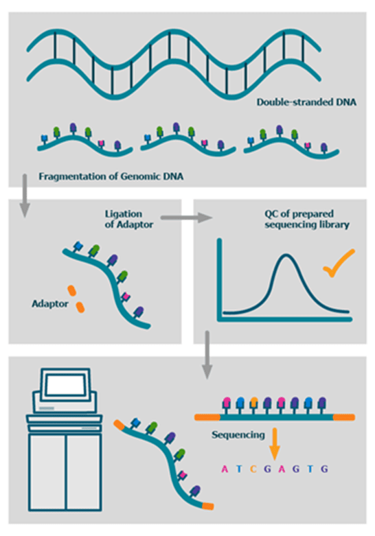 Introduction to Biotechnology | Science & Technology for UPSC CSE