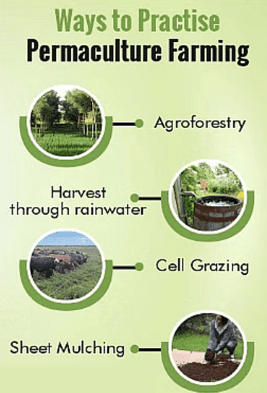 Shankar IAS Summary: Agriculture | Famous Books for UPSC Exam (Summary & Tests)