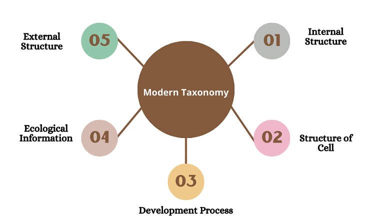 NCERT Summary: Taxonomy: Identification, Nomenclature & Classification | Science & Technology for UPSC CSE